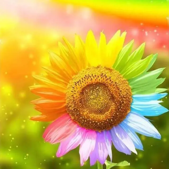 Rainbow Flowers PIX-758