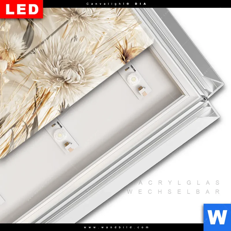 Leuchtbild Acrylglas Canvalight® DIA | Wildblumen | Quadrat