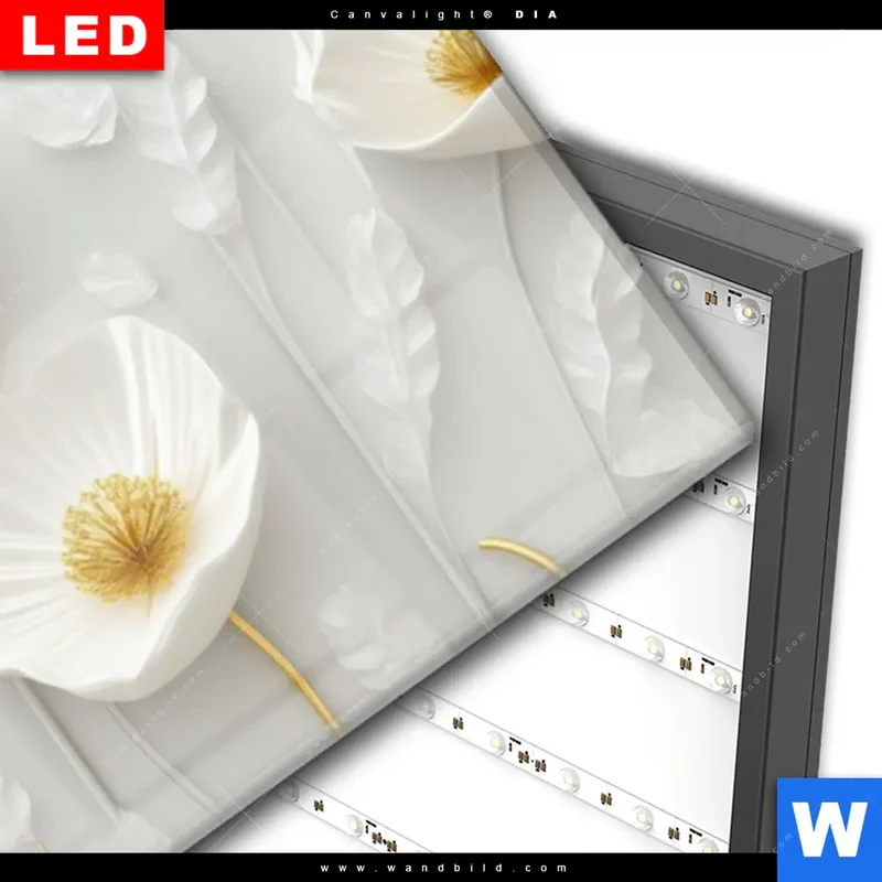 Wechselmotiv Acrylglas Canvalight® DIA | Florale Leichtigkeit mit Goldglanz | Panorama