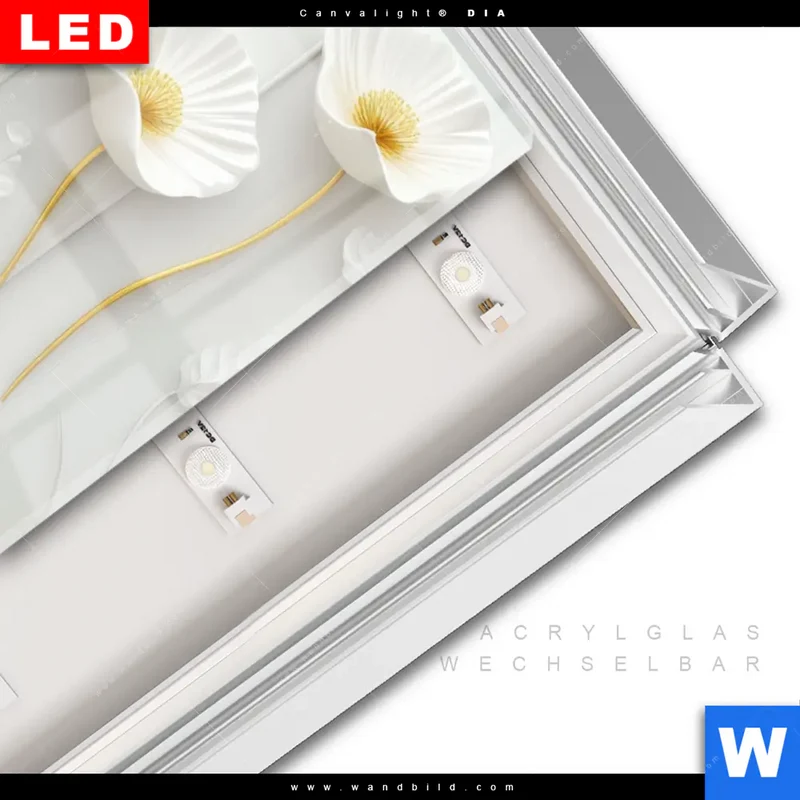 Leuchtbild Acrylglas Canvalight® DIA | Florale Leichtigkeit mit Goldglanz | Hochformat