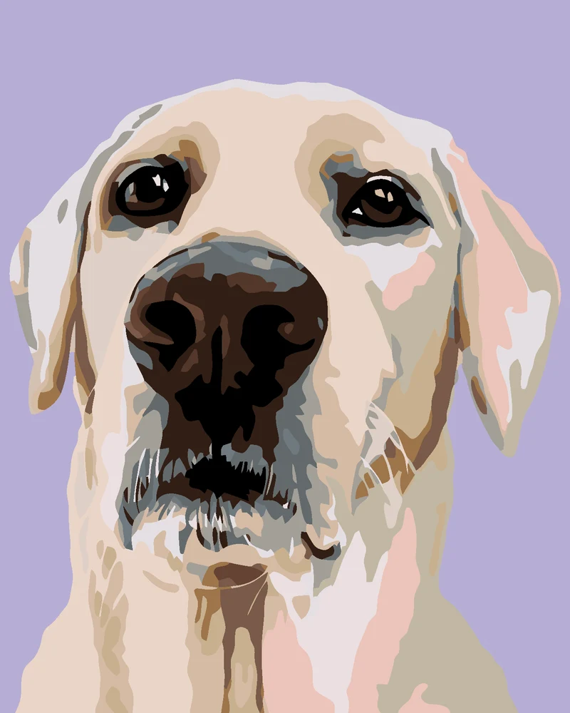 Diamond painting - LABRADOR RETRIEVER