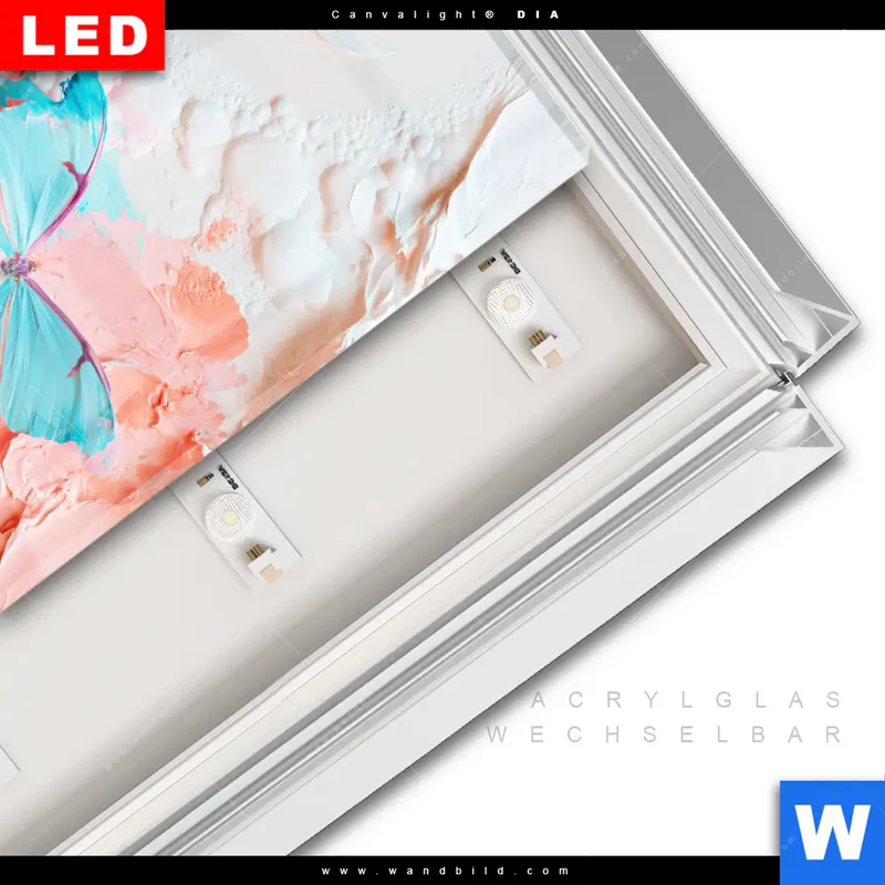 Leuchtbild Acrylglas Canvalight® DIA | Schmetterlingszauber | Quadrat