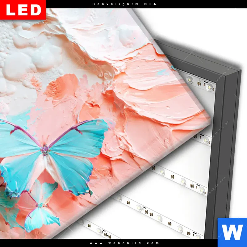 Wechselmotiv Acrylglas Canvalight® DIA | Schmetterlingszauber | Querformat