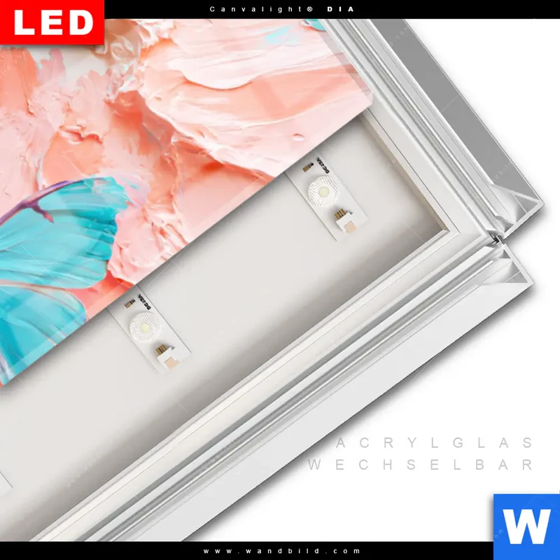Leuchtbild Acrylglas Canvalight® DIA | Schmetterlingszauber | Schmal