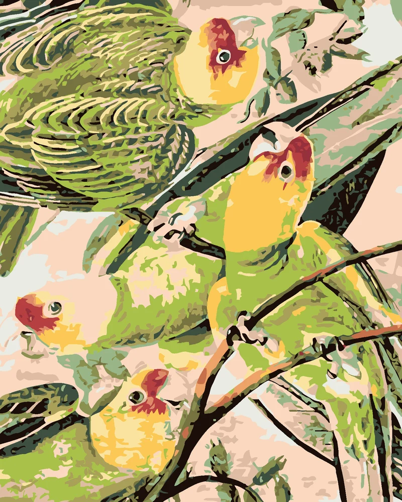 Diamond painting - PAPAGEIEN AUF DEM ZWEIG