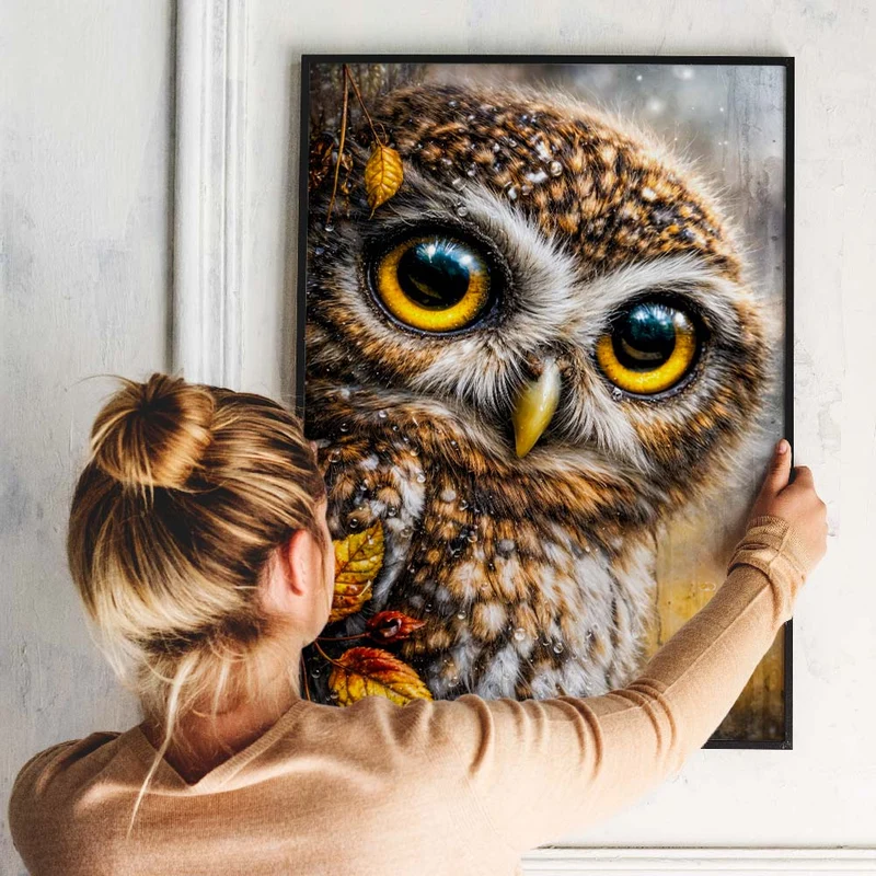 5D Diamond Painting – Eule Arion im Herbstregen