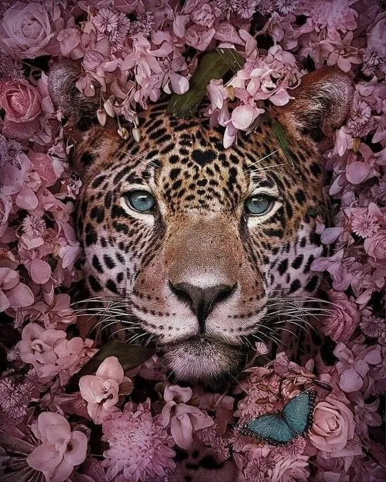 Malen nach Zahlen Tiger mit Blumen