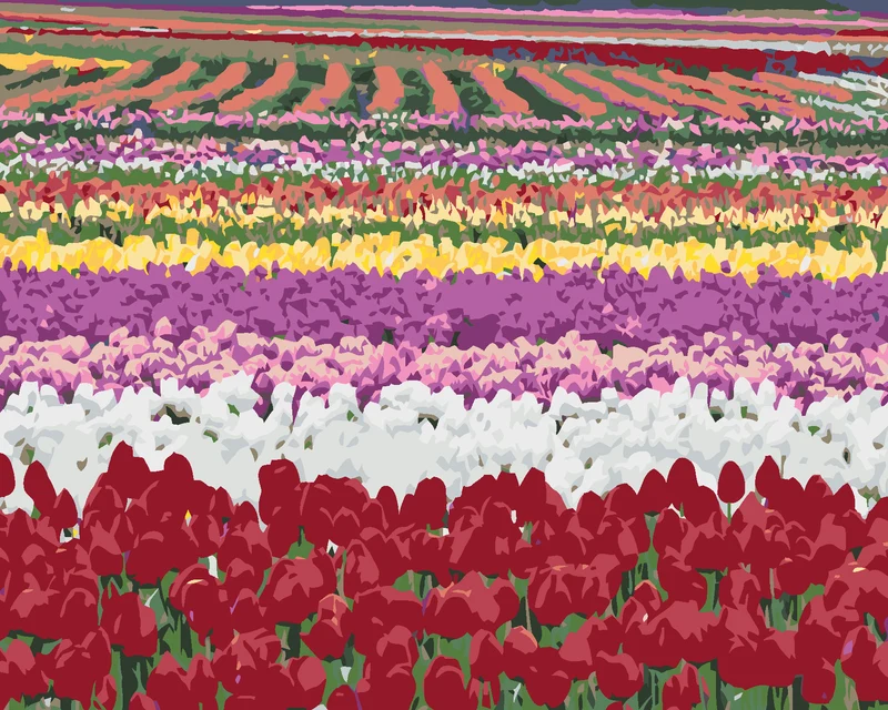 Diamond painting - TULPENFELDER (DENNIS FRATES)