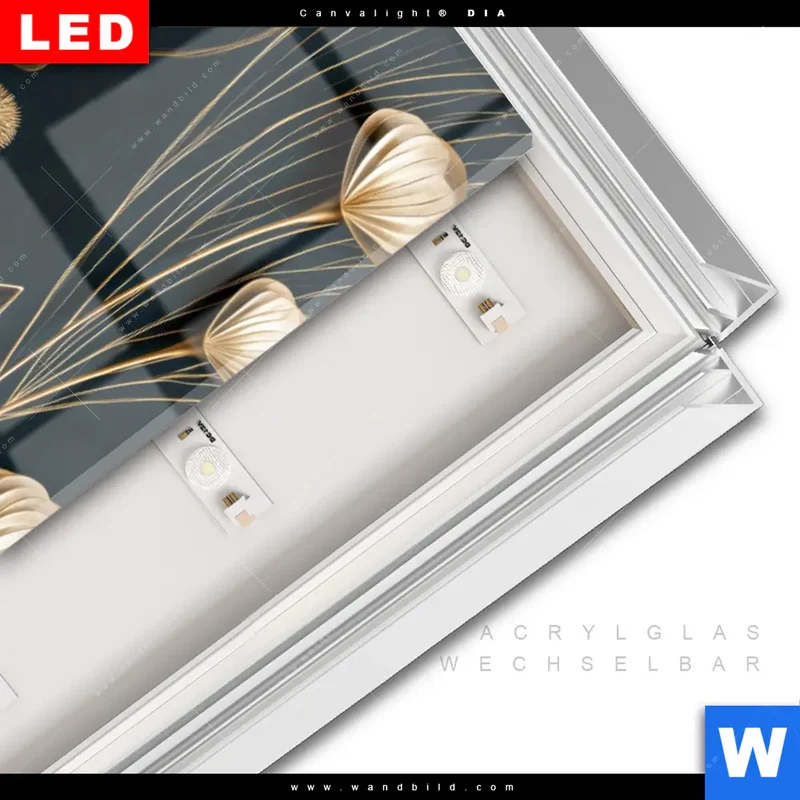 Leuchtbild Acrylglas Canvalight® DIA | Rehe - Anmut des Waldes | Schmal
