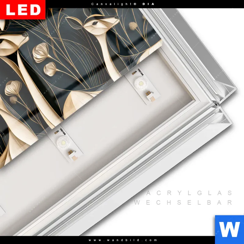 Leuchtbild Acrylglas Canvalight® DIA | Rehe - Anmut des Waldes | Querformat
