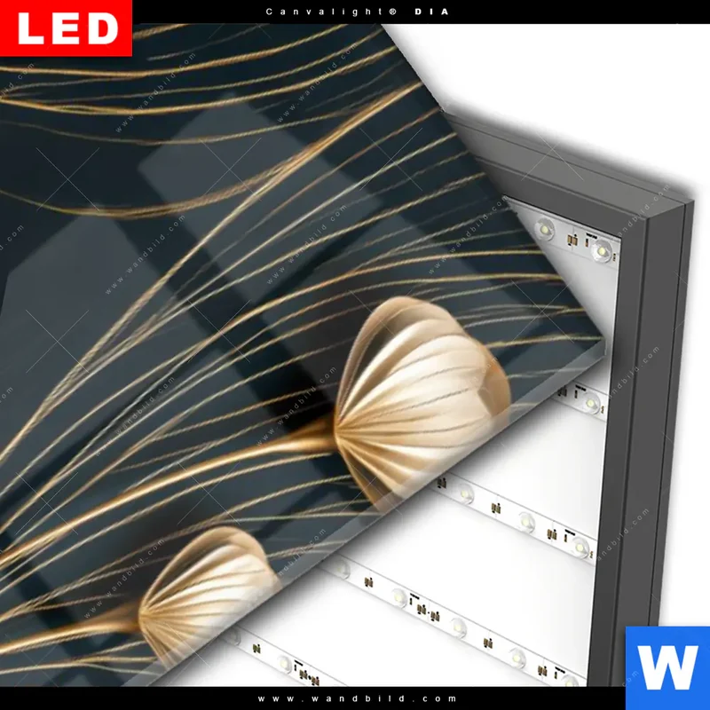 Wechselmotiv Acrylglas Canvalight® DIA | Rehe - Anmut des Waldes | Schmal