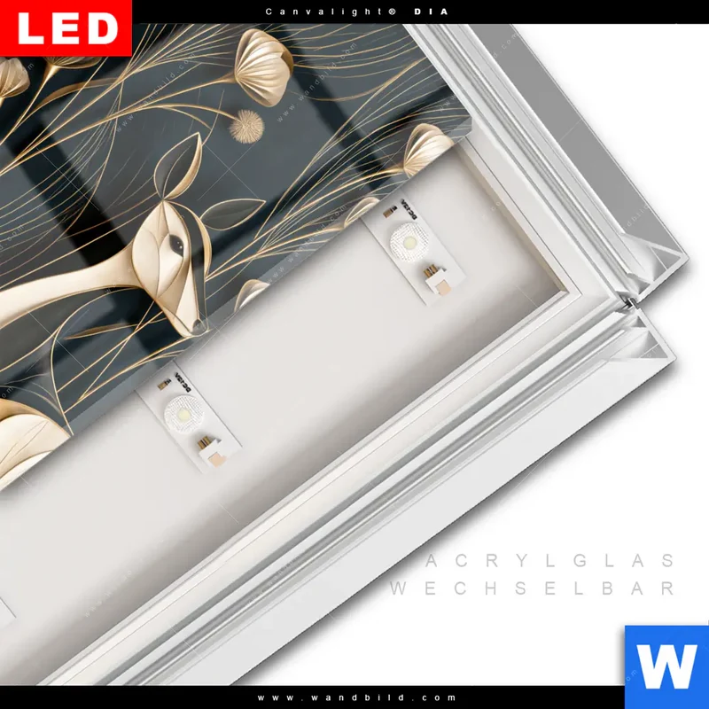 Leuchtbild Acrylglas Canvalight® DIA | Rehe - Anmut des Waldes | Quadrat