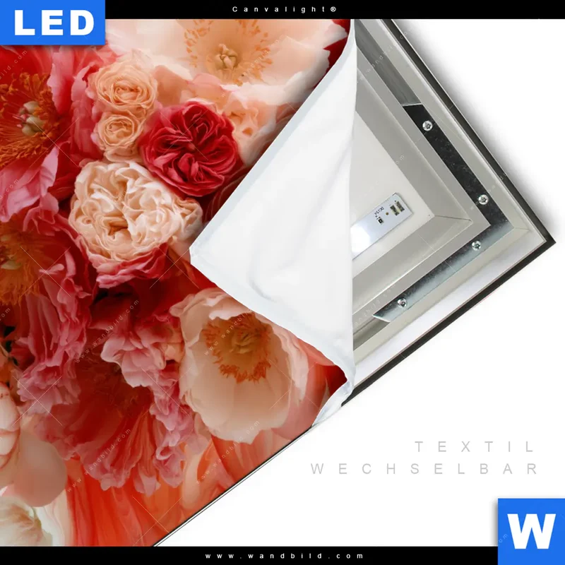Canvalight® Leuchtbild | Florale Explosion | Quadrat