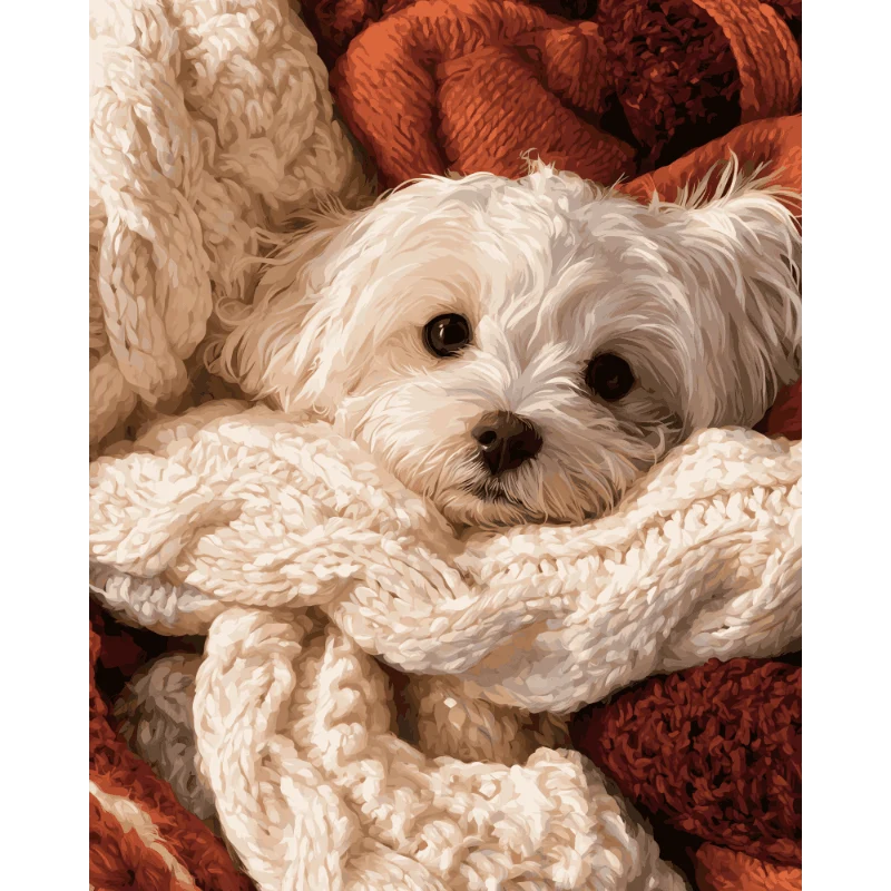 Kuschelzeit