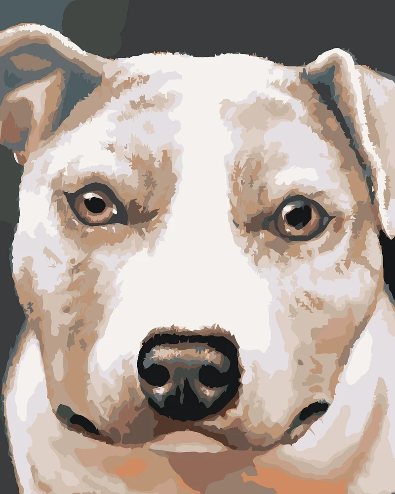 Diamond painting - PIT BULL (MYROSLAVA VOLOSCHUK)