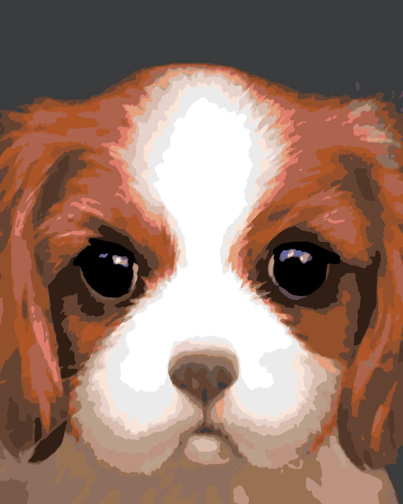 Diamond painting - HUND - CAVALIER KING CHARLES SPANIEL (MYROSLAVA VOLOSCHUK)