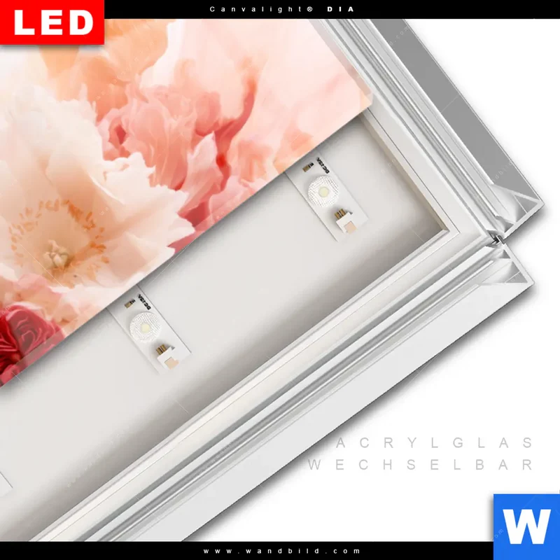 Leuchtbild Acrylglas Canvalight® DIA | Florale Explosion | Schmal