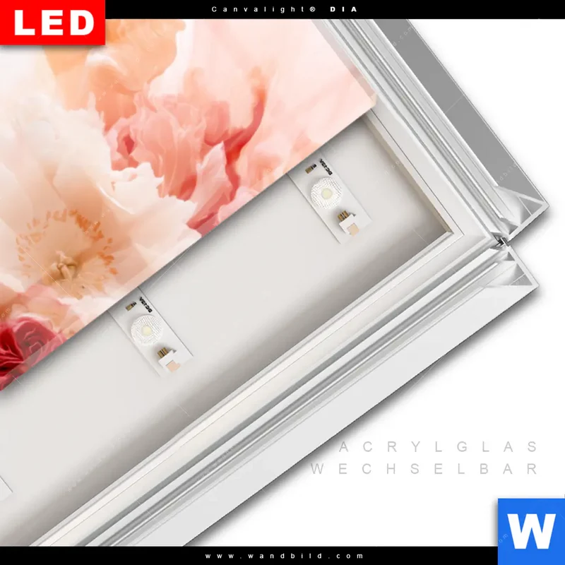 Leuchtbild Acrylglas Canvalight® DIA | Florale Explosion | Panorama