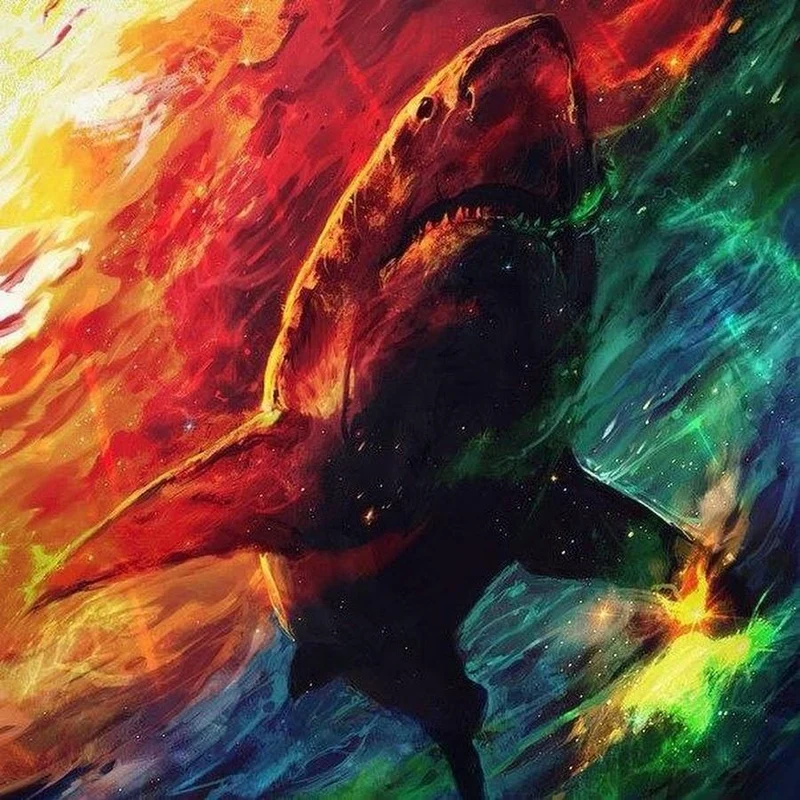 Shark Red PIX-1311