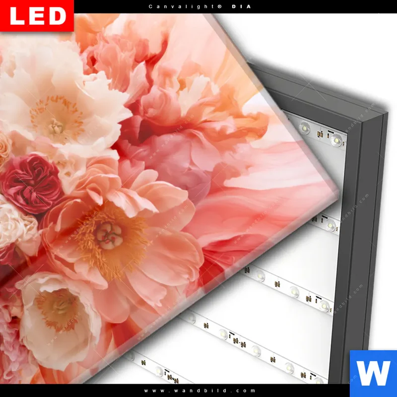 Wechselmotiv Acrylglas Canvalight® DIA | Florale Explosion | Querformat