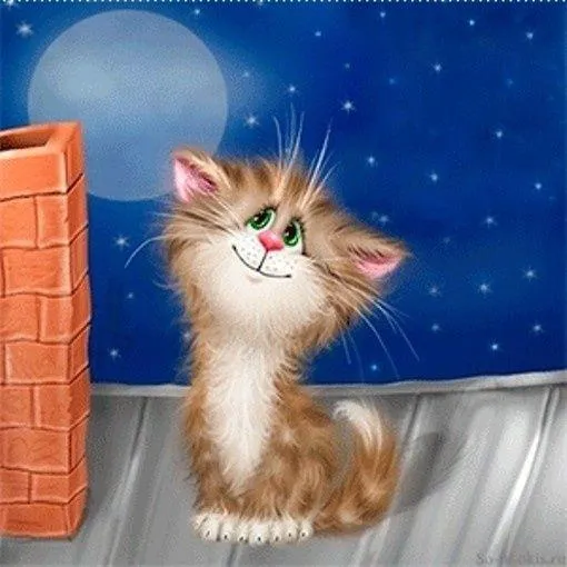 Cat PIX-1339