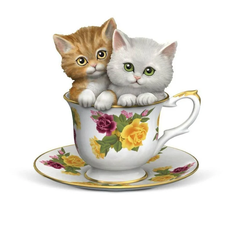 Cat PIX-1348
