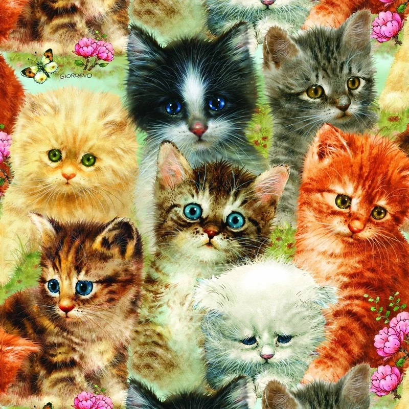 Cat PIX-1355