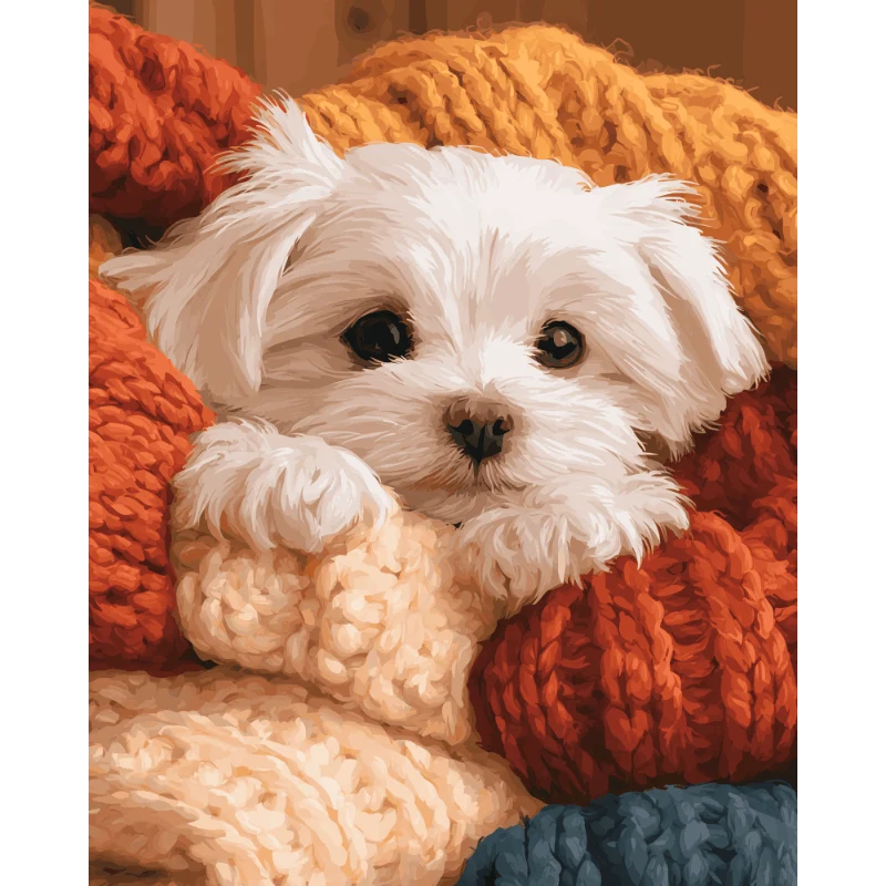 Kuschelkumpel