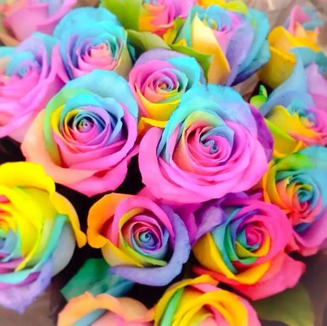 Rainbow Flowers PIX-760