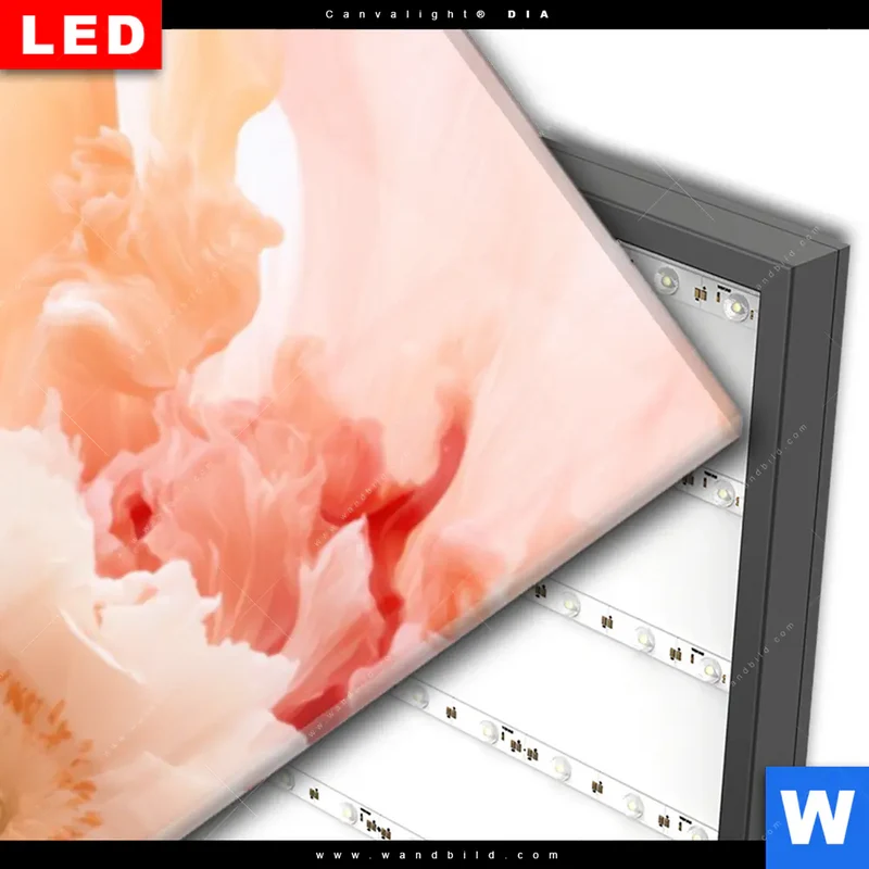 Wechselmotiv Acrylglas Canvalight® DIA | Florale Explosion | Panorama
