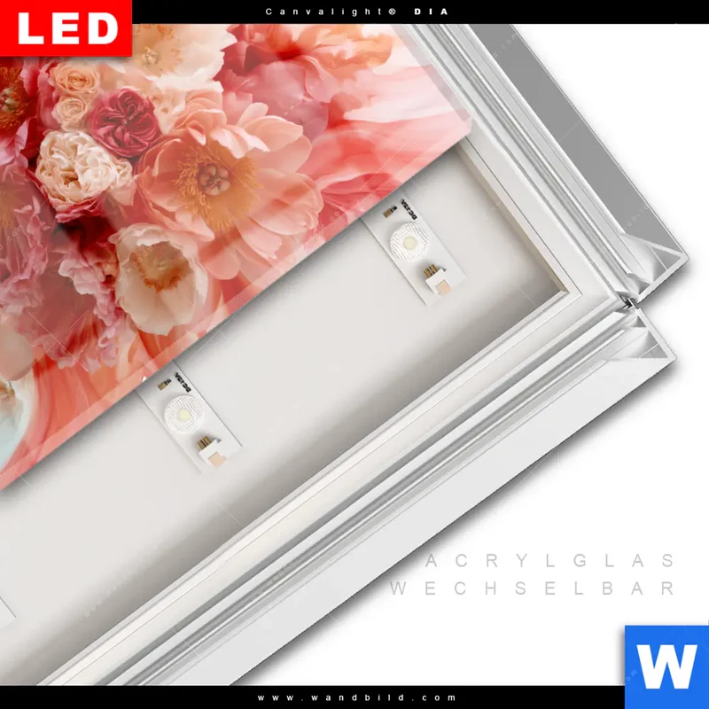 Leuchtbild Acrylglas Canvalight® DIA | Florale Explosion | Querformat