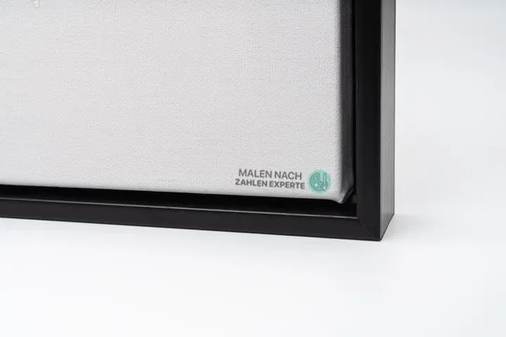 Malen nach Zahlen Kostenloses Geschenk im Wert von 25 €