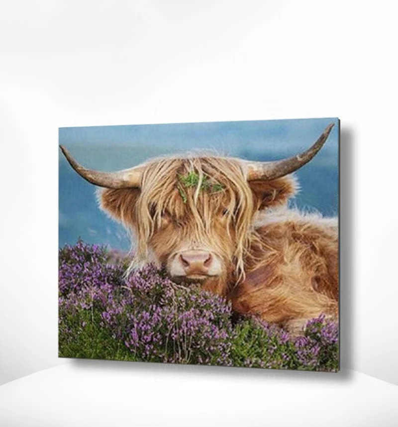 Malen nach Zahlen Schottischer Highlander mit Blumen
