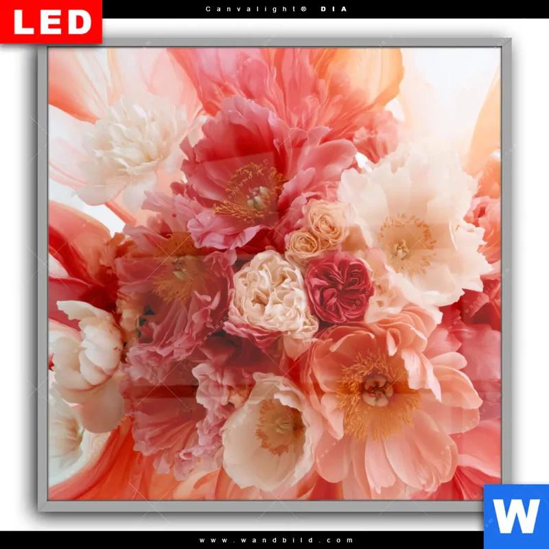 Leuchtbild Acrylglas Canvalight® DIA | Florale Explosion | Quadrat