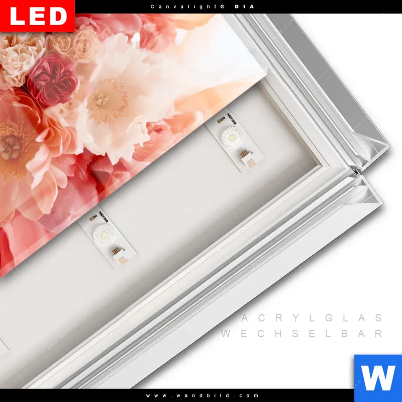 Leuchtbild Acrylglas Canvalight® DIA | Florale Explosion | Quadrat