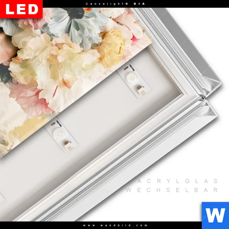 Leuchtbild Acrylglas Canvalight® DIA | Florale Diva | Quadrat