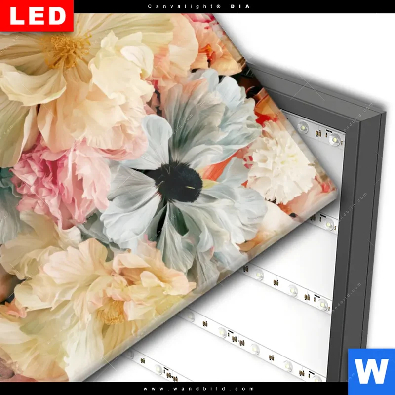Wechselmotiv Acrylglas Canvalight® DIA | Florale Diva | Hochformat
