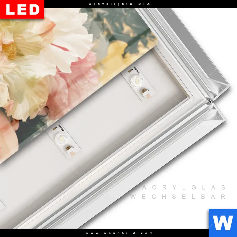 Leuchtbild Acrylglas Canvalight® DIA | Florale Diva | Panorama