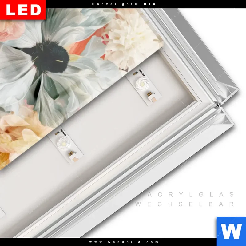Leuchtbild Acrylglas Canvalight® DIA | Florale Diva | Schmal