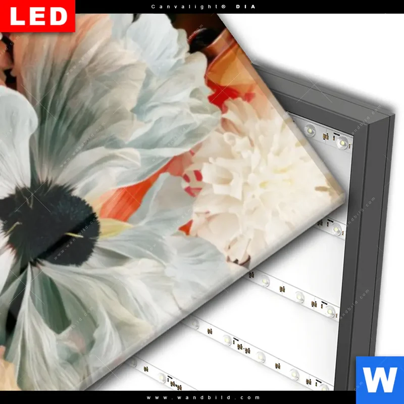 Wechselmotiv Acrylglas Canvalight® DIA | Florale Diva | Schmal