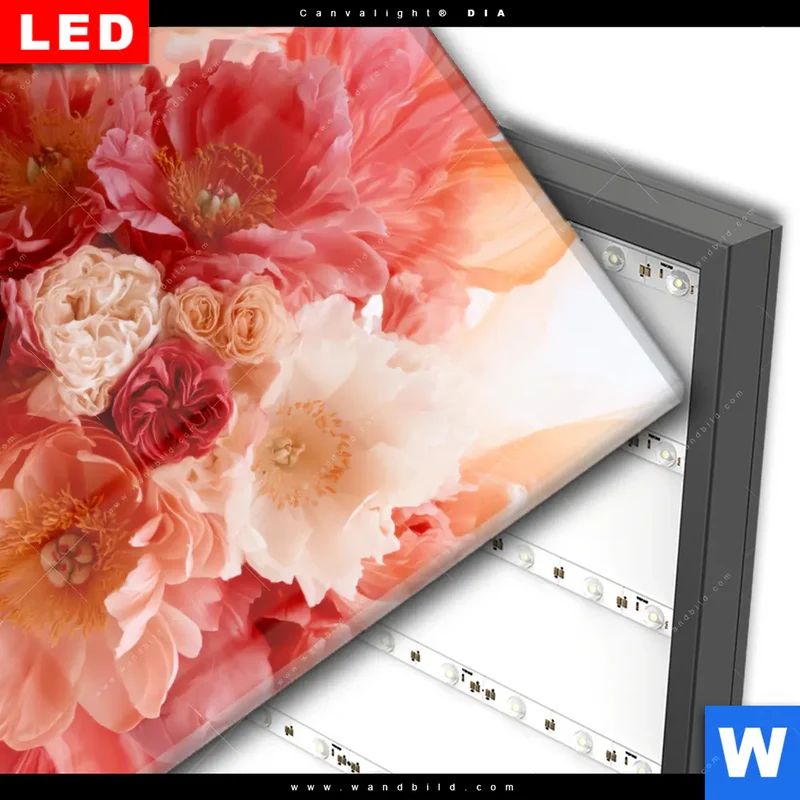 Wechselmotiv Acrylglas Canvalight® DIA | Florale Explosion | Quadrat