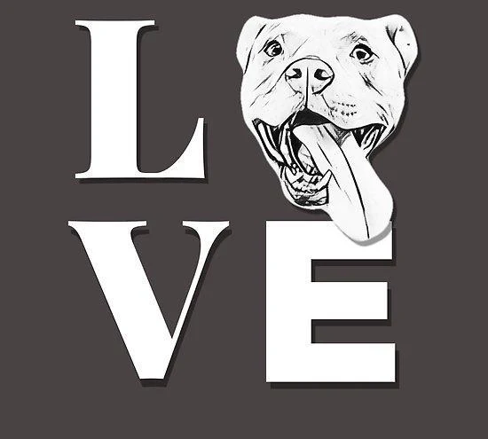 Pitbull Love PIX-566