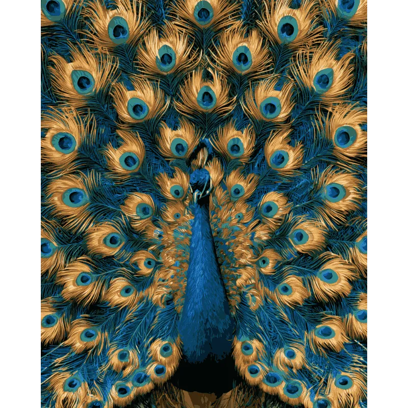 Stolzer Pfau