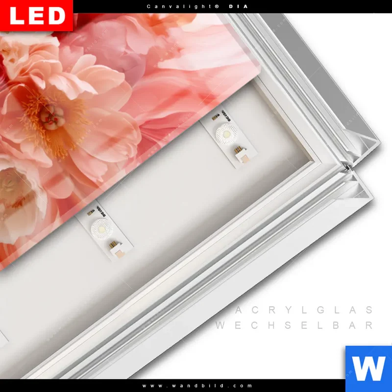 Leuchtbild Acrylglas Canvalight® DIA | Florale Explosion | Hochformat