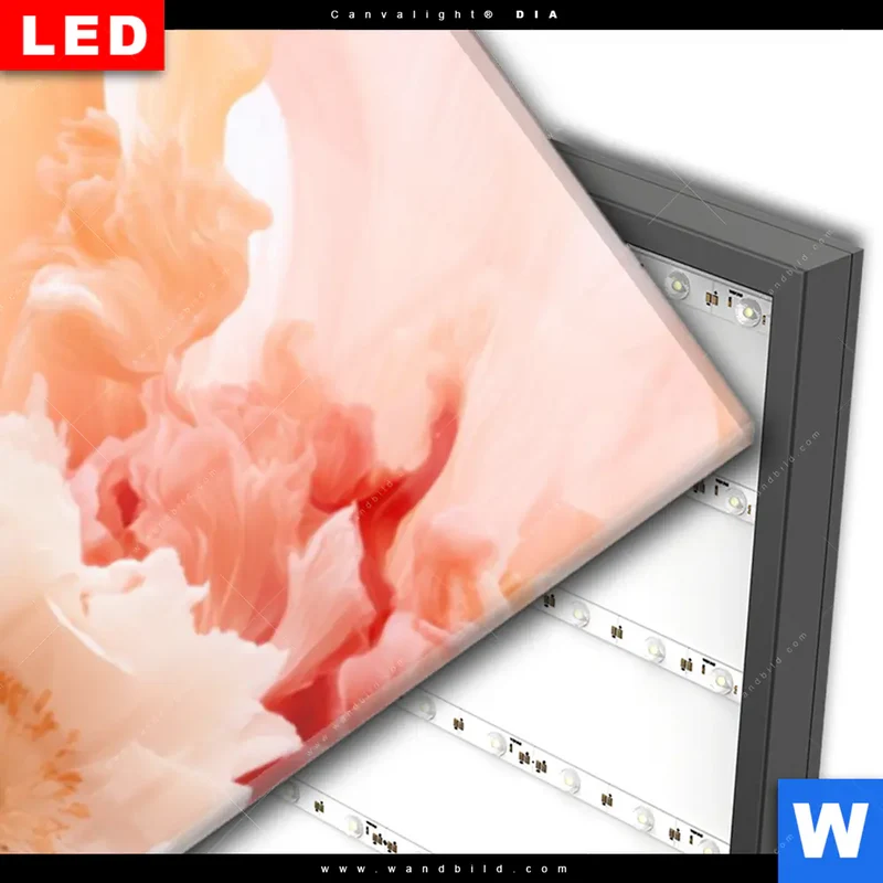 Wechselmotiv Acrylglas Canvalight® DIA | Florale Explosion | Schmal
