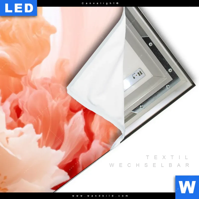 Canvalight® Leuchtbild | Florale Explosion | Schmal