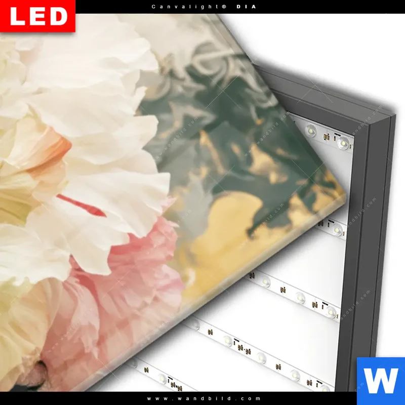 Wechselmotiv Acrylglas Canvalight® DIA | Florale Diva | Panorama