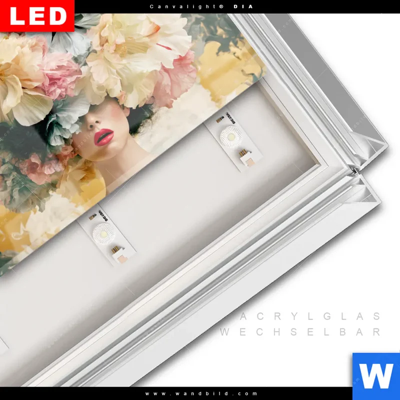 Leuchtbild Acrylglas Canvalight® DIA | Florale Diva | Querformat