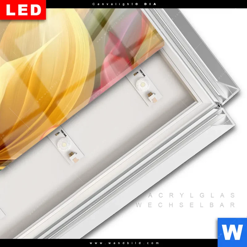 Leuchtbild Acrylglas Canvalight® DIA | Leuchtende Lilienträume | Schmal