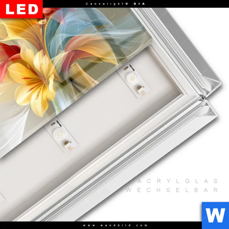 Leuchtbild Acrylglas Canvalight® DIA | Leuchtende Lilienträume | Querformat